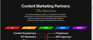 Velocity Content Marketing Partners Infographic Screenshot